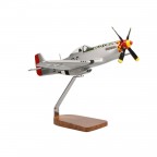 North American P-51 Mustang  Aircraft Model