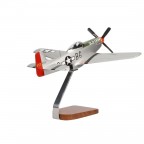 North American P-51 Mustang  Aircraft Model